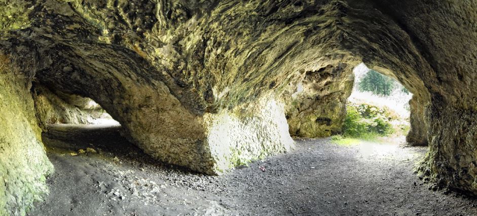 冰河时期洞穴入选世界文化遗产